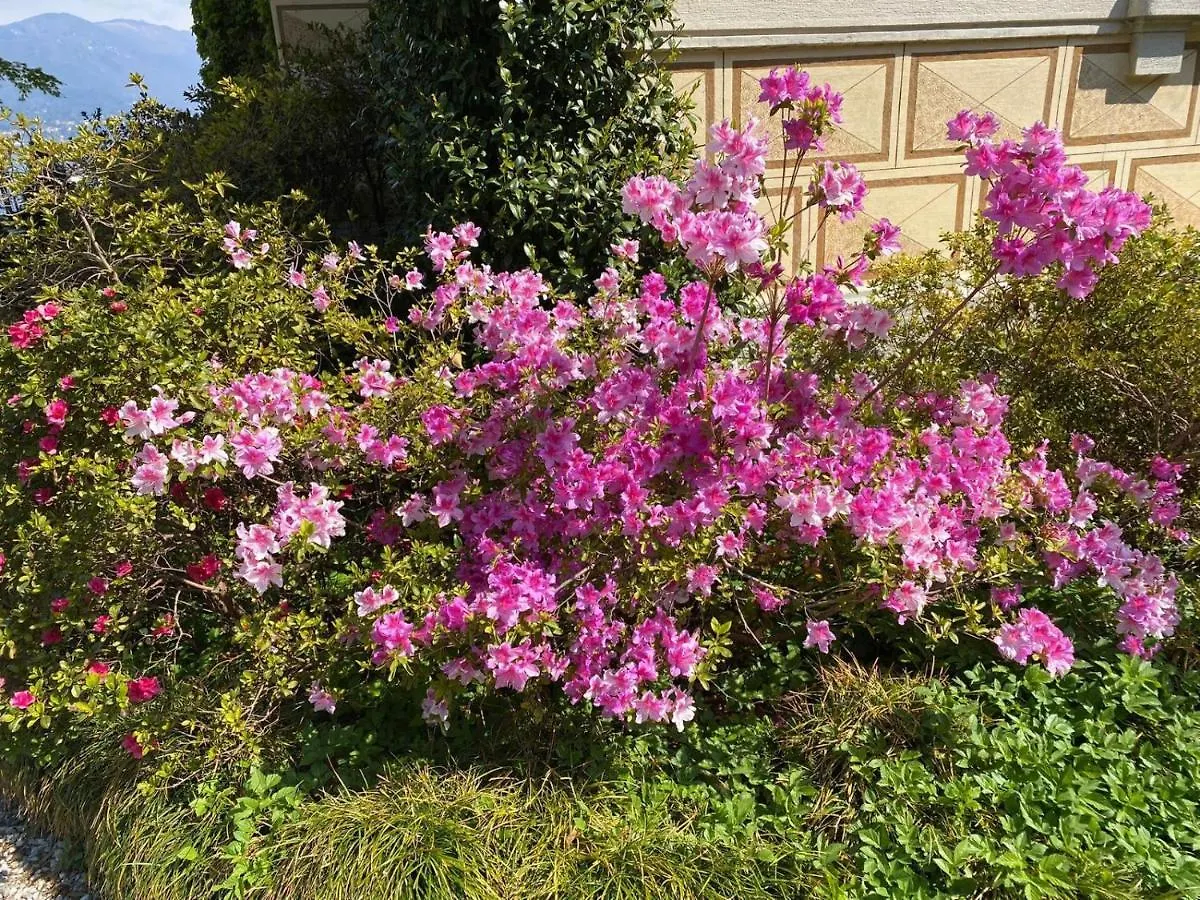Villino Tarlarini Villa Laveno-Mombello